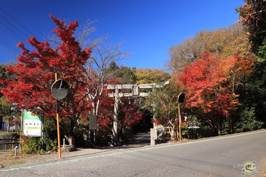 金山彦神社 紅葉