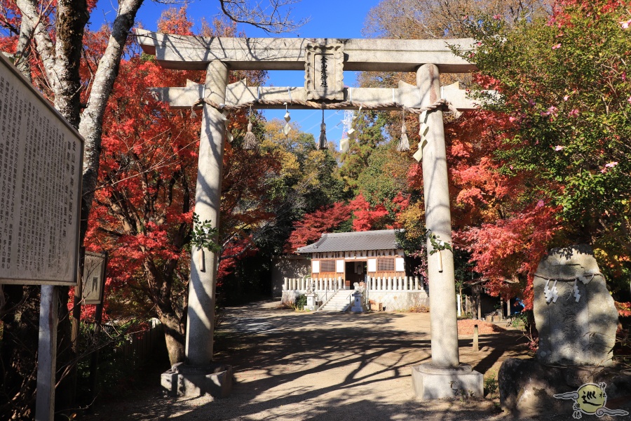 金山彦神社 紅葉